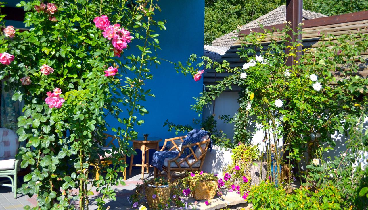 Resedinta Rotundu Bed & Breakfast Butuceny Екстериор снимка