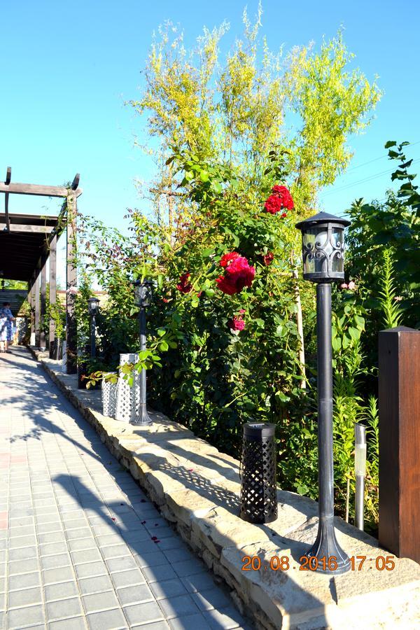 Resedinta Rotundu Bed & Breakfast Butuceny Екстериор снимка