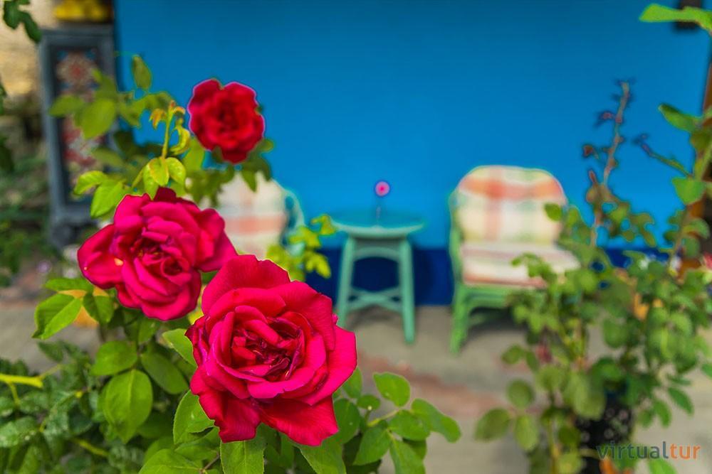 Resedinta Rotundu Bed & Breakfast Butuceny Екстериор снимка